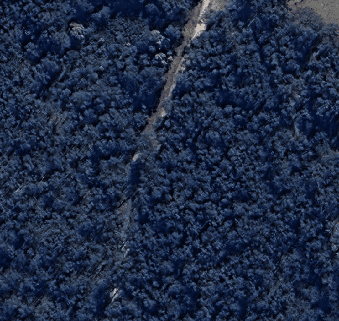 Satellite View